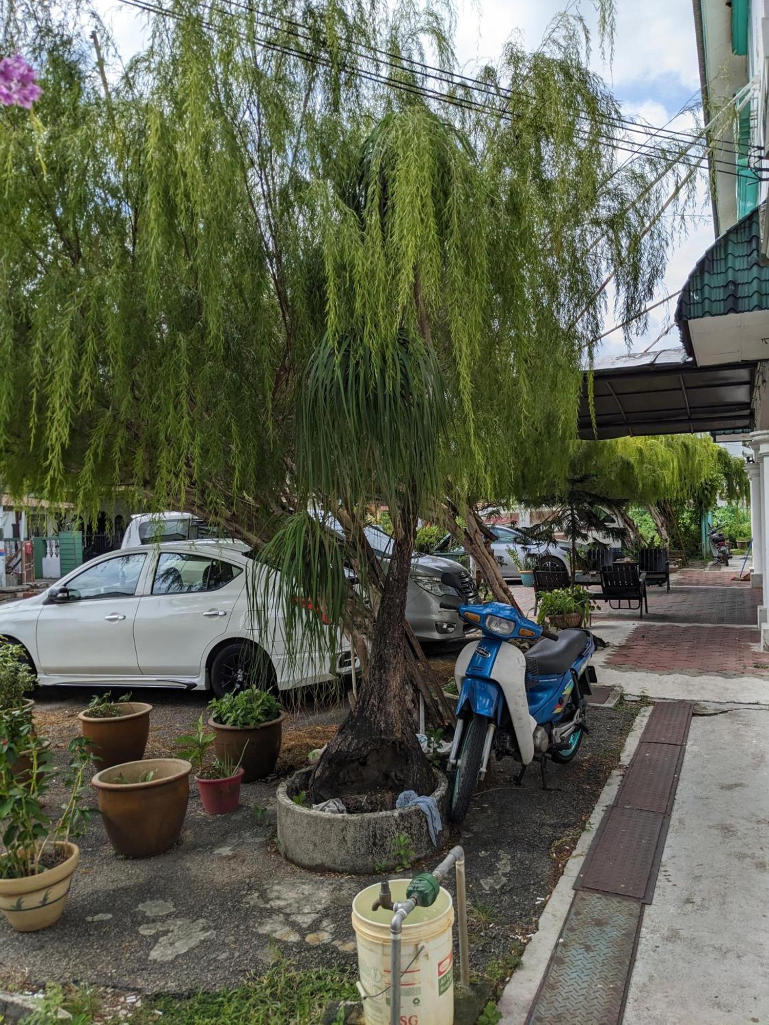 Ene Sri Cemerlang Kota Bharu Extérieur photo